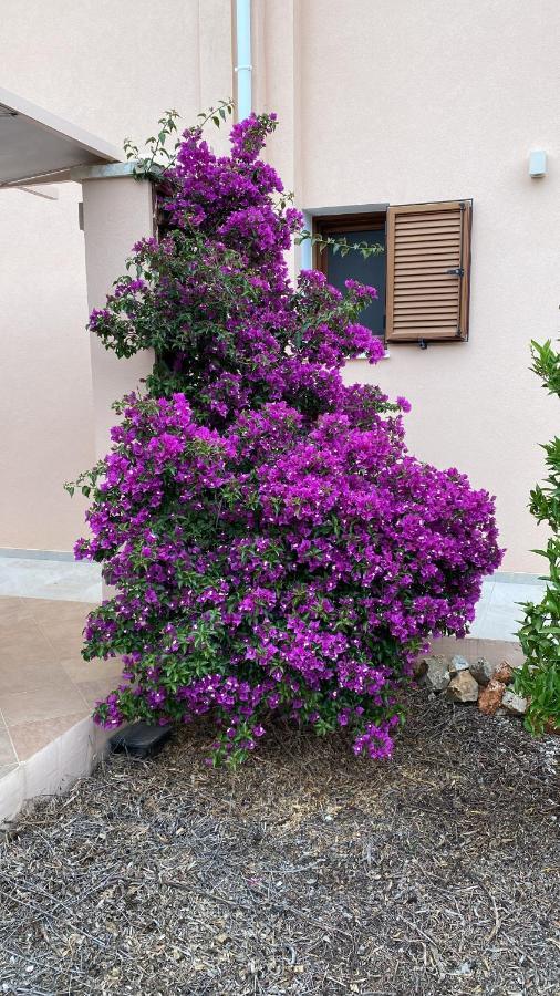 Villa Lp Kokkino Chorio Buitenkant foto